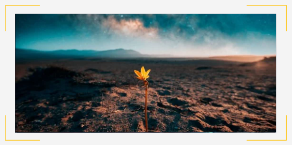 Capture d'écran 2026-01-12 085342.png